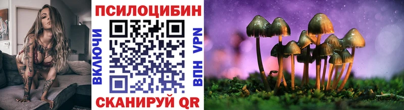Псилоцибиновые грибы Cubensis Амурск